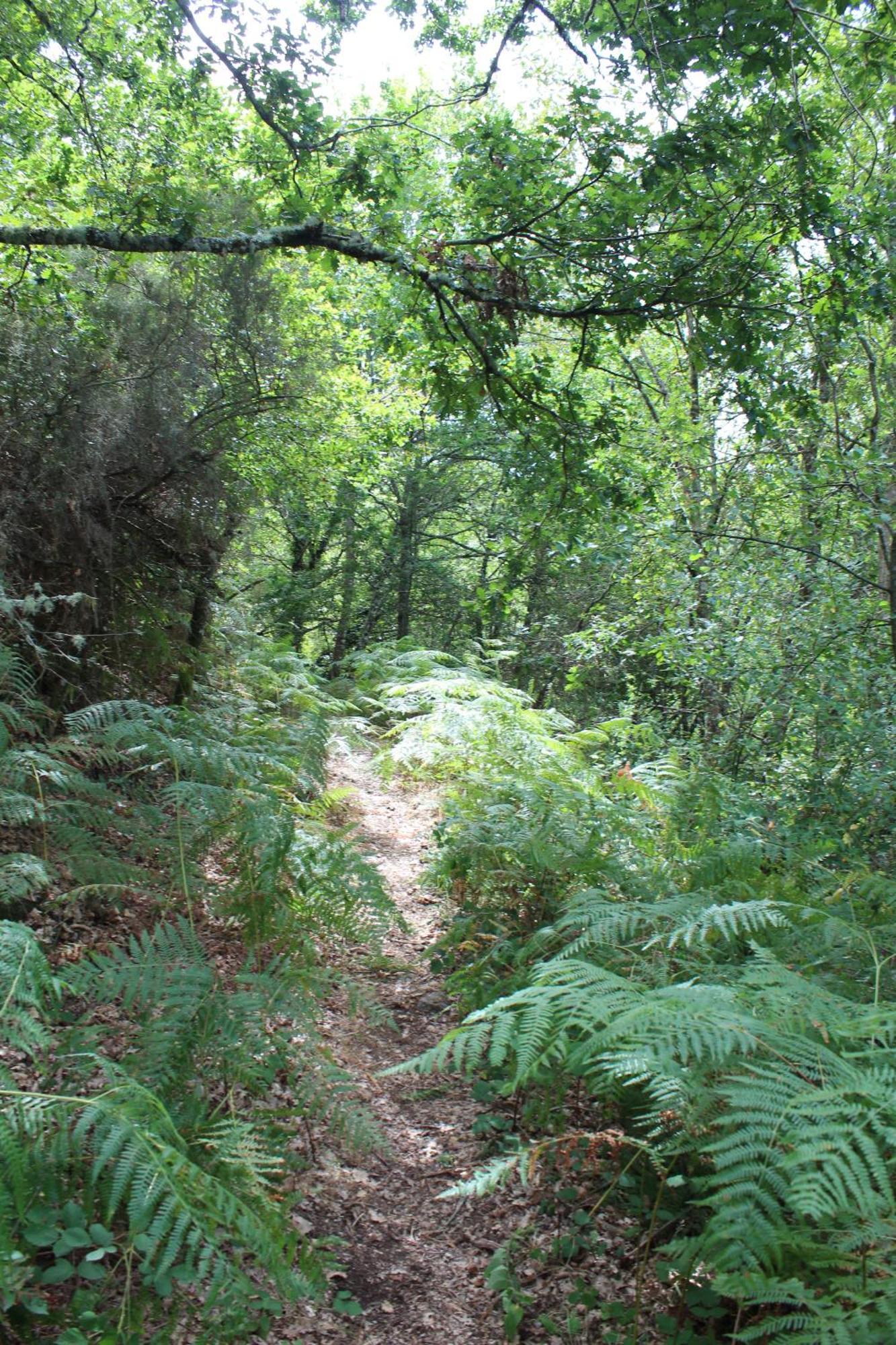 Penzion Aldea Rural Santo Andre Congostro Exteriér fotografie